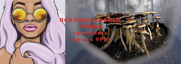 мет Богданович