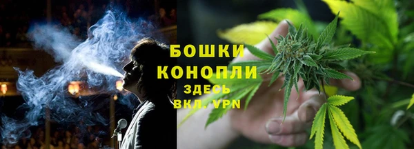 мдпв Бронницы