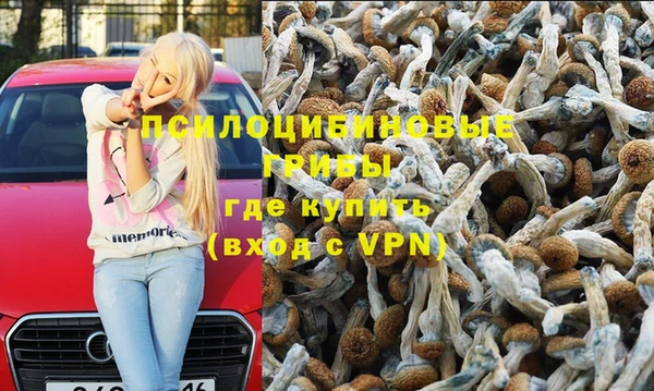 молекула духа Бугульма