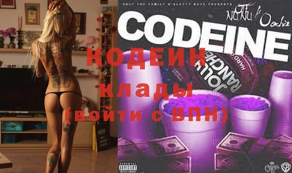 шишки Бородино