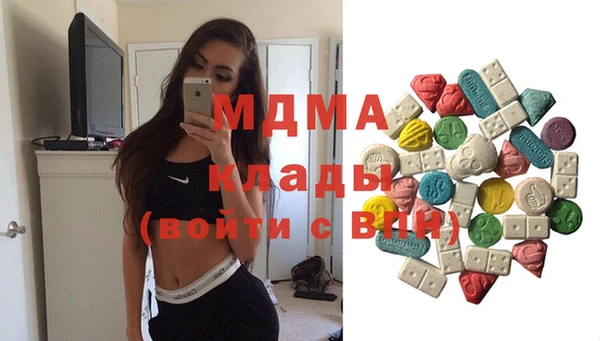 шишки Бородино