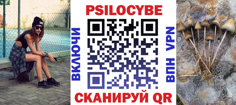Псилоцибиновые грибы GOLDEN TEACHER где купить наркоту Новоржев